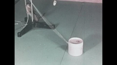 United States 1950s: Squirrel pulling on string, moves cylinder, climbs on Stock Footage 316626689