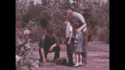 UNITED STATES 1960s: A close-up of a person's hand laying down a patch of grass Vídeos de archivo 303642753