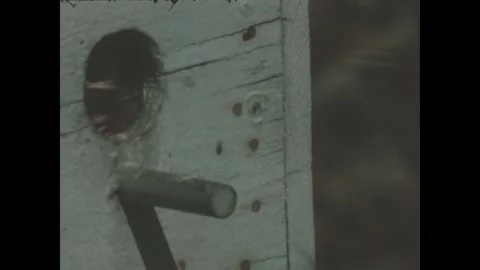 UNITED STATES 1960s: A dark bird perches on a wooden surface and moves its head, Stock Footage 340081953
