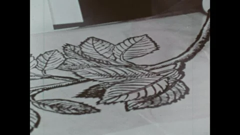 United States 1960s: A man in a workshop pulls and presses large sheets of paper Stock Footage 344767770