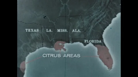 United States 1960s: Map of Gulf of Mexico, Citrus Area is highlighted. Area on Stock Footage 337125341