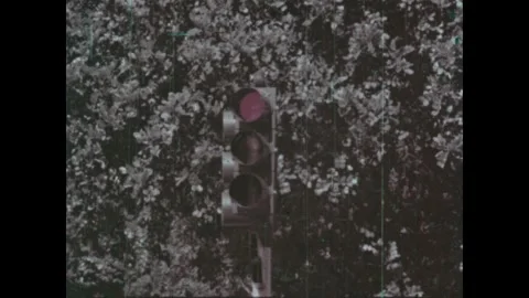 United States 1960s: An octagonal STOP sign with white lettering and border Video stock 344894783