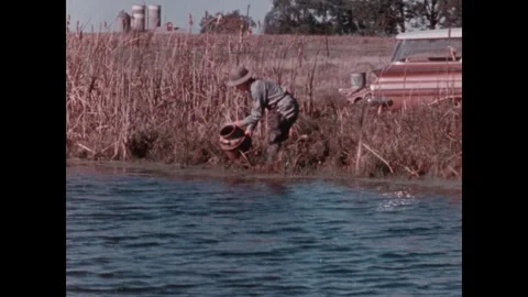 United States 1970s: Fish on deck of fishing boat. Person dumps fish from Stock Footage 314142842