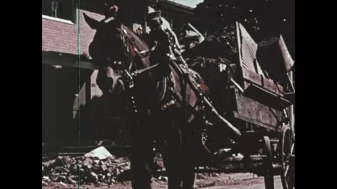 United States 1970s: Low angle, man driving horse drawn wagon, hauling trash. 스톡 동영상 346335540