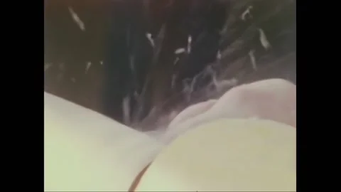 UNITED STATES - 1976 - The apprentice learns the basics of working with wood and Stock Footage 296388063