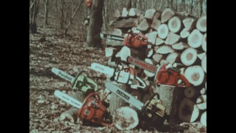 United States 1980s: Stack of cut logs, variety of chainsaws are displayed in 스톡 동영상 335588758