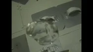 United States: 1990S: Liquid Forms Sphere In Microgravity Environment. Astronaut Stock Footage