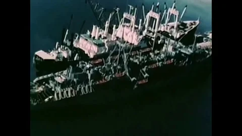 United States Army 101st Airborne Division troops arrive at Cam Ranh Bay, during Stock Footage