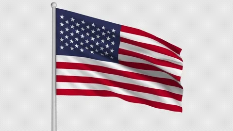 United States Flag Stock Footage 206111918