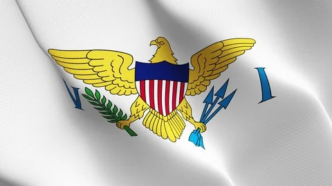 United States Virgin Islands US State flag loop waving on wind. Stock Footage