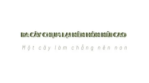 UNITED WE STAND presented in Vietnamese stock lettering artwork with smooth terr Stock Illustration