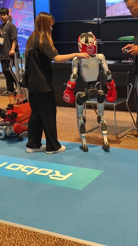 Unitree G1 Humanoid Robot equipped for a boxing demonstration Stock-Footage 338319594