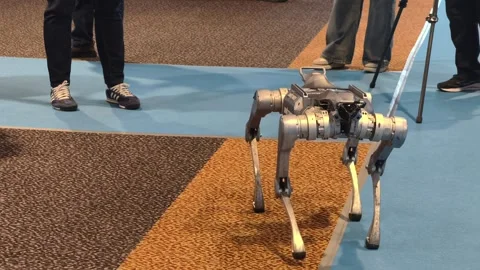 Unitree Go2 quadruped robot Stock-Footage 338319595