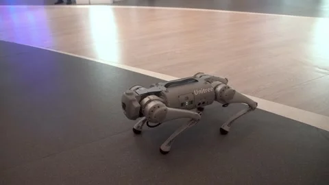 Unitree robot dog Video stock 254794724