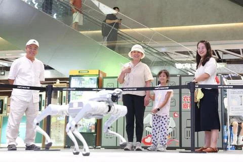 Unitree Robotics debuts on China's STAR Market Foto stock