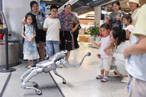 Unitree Robotics debuts on China's STAR Market Foto stock