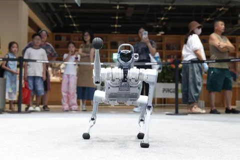 Unitree Robotics debuts on China's STAR Market Foto stock