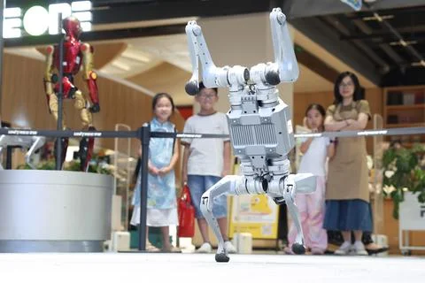 Unitree Robotics debuts on China's STAR Market Foto stock