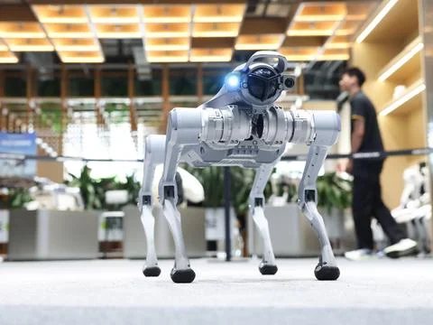 Unitree Robotics debuts on China's STAR Market Foto stock