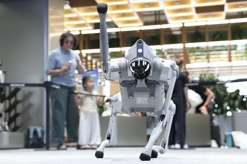 Unitree Robotics officially opens STAR Market subscription Foto stock