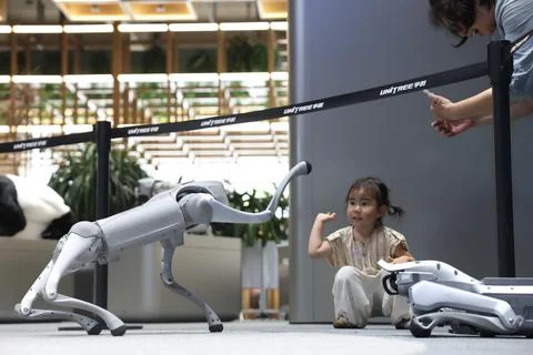 Unitree Robotics officially opens STAR Market subscription Foto stock