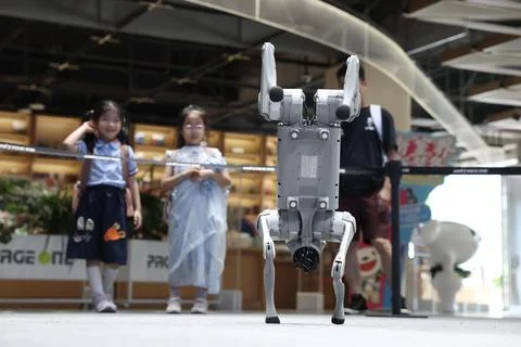 Unitree Robotics officially opens STAR Market subscription Foto stock