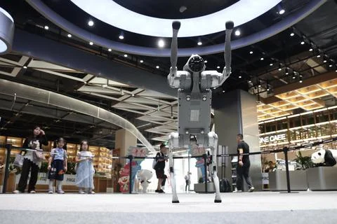 Unitree Robotics opens subscription for STAR Market IPO Foto stock