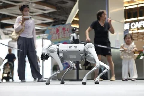 Unitree Robotics opens subscription for STAR Market IPO Stock Photos