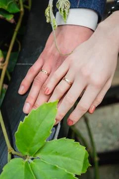 Unity in Nature Foto stock