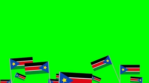 Unity of South Sudan Stock Footage 197037424