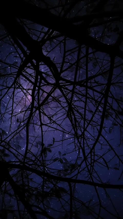 Universe background at night Stock Footage 327066418