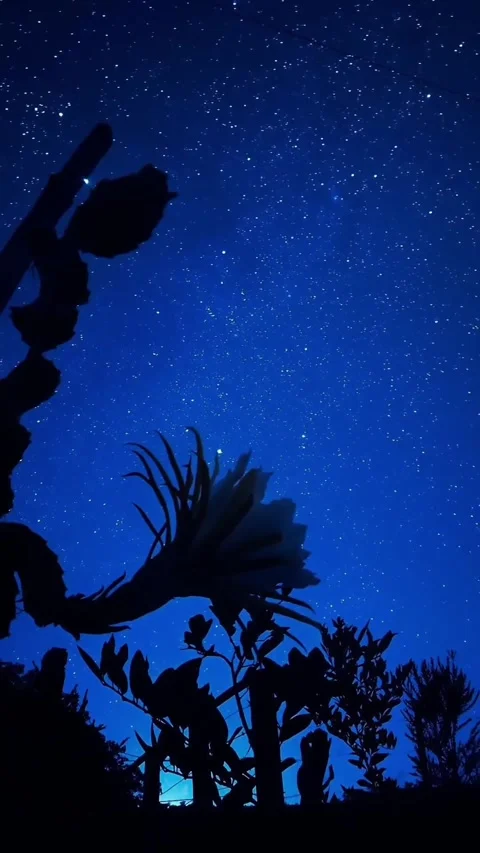 Universe background at night Stock Footage 327066968