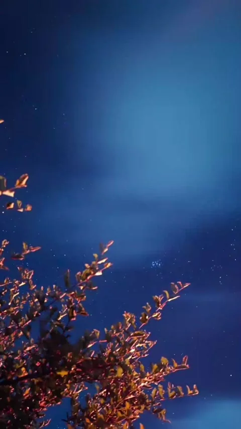 Universe background at night Stock Footage 327067183