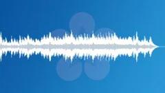 The Universe (Full Version-Original) 1 min. 45 sec. Stock Music