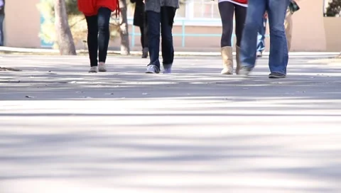 University Campus 2949 Stock Footage 1056993