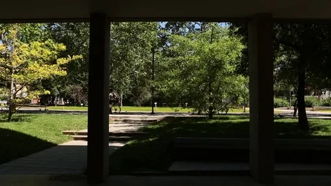 University campus students Stock Footage 77048629