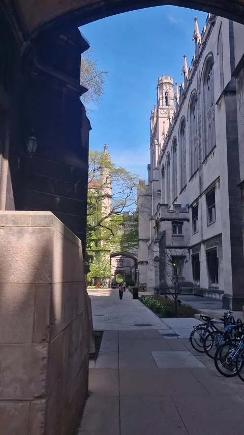 University of Chicago Campus, Vertical View of Buildings and People on Sunny Stock Footage 325833696