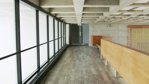 University hallway with windows Stock Footage 218552022
