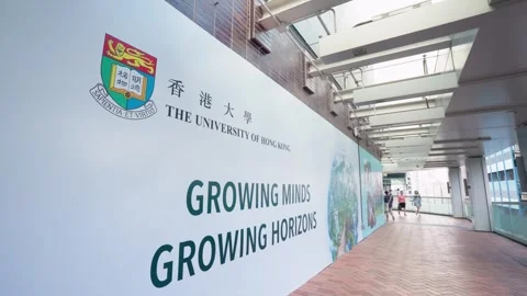The University of Hong Kong Stock Footage 313444875