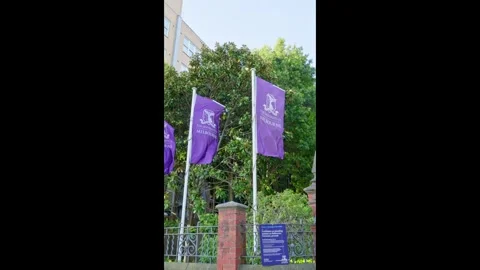 University of Melbourne Flags Flying on Campus Video stock 324692924
