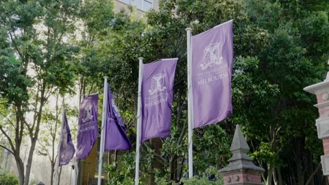 University of Melbourne Flags Flying on Campus Video stock 324693085
