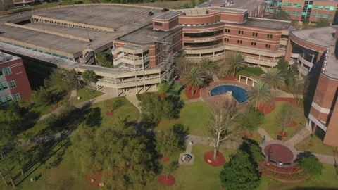 University of North Florida Видео 155179816