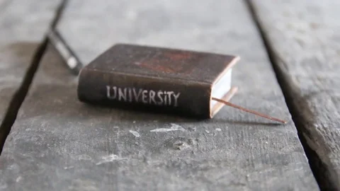 University retro idea Stock Footage 75382131