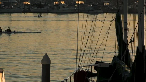 University rowing team practicing at sunrise Stock Footage 87817356
