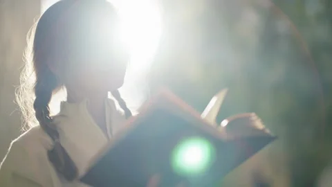 A university student flips through a book against the background of a bright sun Video stock 253180294