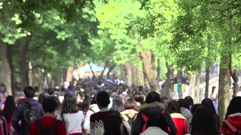 University students in campus Stock Footage 46971580