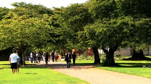 University Students Stock Footage 8635755