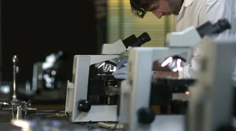 University Students in a lab look through a microscope during their experiment Video stock 33880176