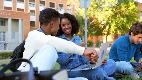 University students studying together on campus lawn Stock Footage 317849909