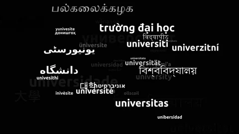 University Translated in 41 Worldwide Languages Endless Looping 3d Zooming Wo Stockbeeldmateriaal 145205476